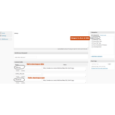 ✅ TuningNow шаблон для WordPress