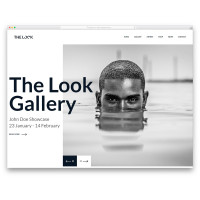✅ The Look шаблон сайта для фотографа или художника