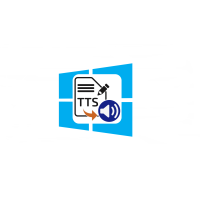 ✅ Windows native TTS